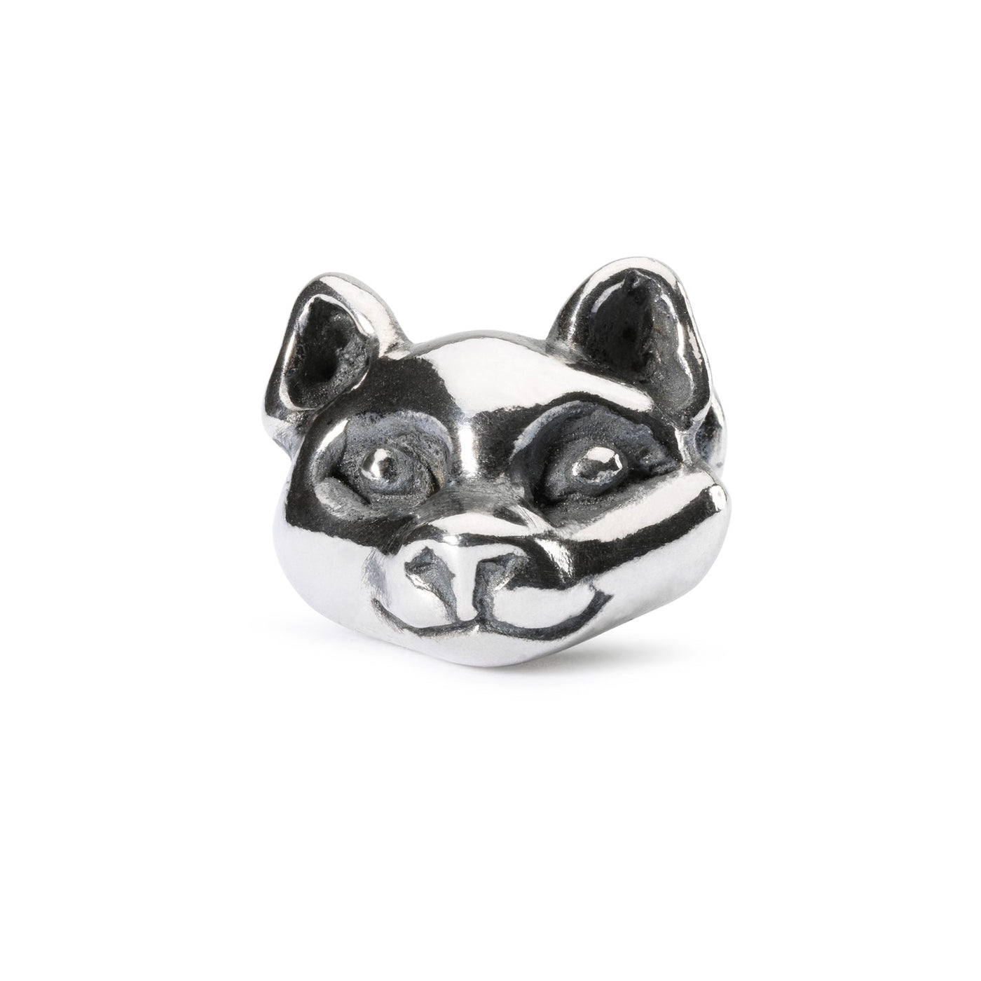 Wilful Cat