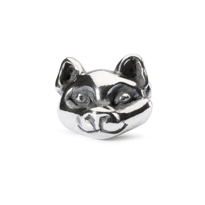 Wilful Cat